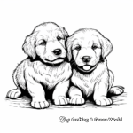 Golden Retriever Puppies Coloring Pages 1