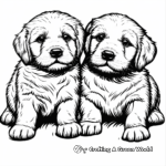 Golden Retriever Puppies Coloring Pages 2