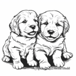 Golden Retriever Puppies Coloring Pages 3