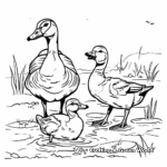 Goose and Duck Pond Coloring Pages 1