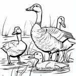Goose and Duck Pond Coloring Pages 2