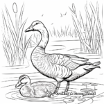 Goose and Duck Pond Coloring Pages 3