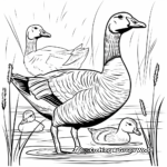 Goose and Duck Pond Coloring Pages 4