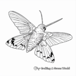 Hummingbird Hawk-moth Coloring Page for Nature Lovers 4