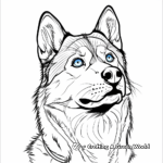 Husky Face Coloring Pages with Striking Blue Eyes 3