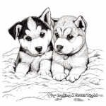 Husky Puppies In The Snow Coloring Pages 2