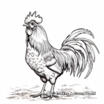 Impressive Rooster Tail Display Coloring Pages 1