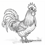 Impressive Rooster Tail Display Coloring Pages 2
