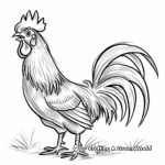 Impressive Rooster Tail Display Coloring Pages 3