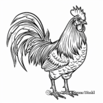 Impressive Rooster Tail Display Coloring Pages 4