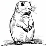 Jump-yip Prairie Dog Coloring Pages 3