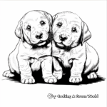 Labrador Retriever Puppies Coloring Pages 1