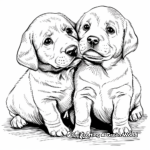 Labrador Retriever Puppies Coloring Pages 3