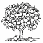 Late Summer Fruit Trees Coloring Pages 4