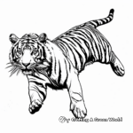 Leaping Bengal Tiger Coloring Pages 3