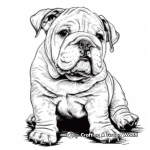 Light Bulldog Puppy Coloring Pages for Relaxation 2