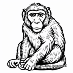Macaque Monkey Coloring Pages 3