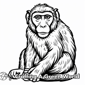 Monkey Coloring Pages - Free &amp; Printable!