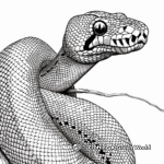 Madagascar Tree Boa Adult Coloring Pages 1