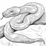 Madagascar Tree Boa Adult Coloring Pages 3