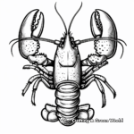 Maine Lobster Festival Coloring Sheet 3