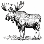 Majestic Bull Moose Coloring Pages 2