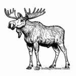 Majestic Bull Moose Coloring Pages 4