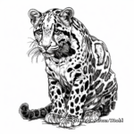 Majestic Clouded Leopard Coloring Pages 2