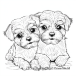Maltese Dog and His Friends Coloring Pages 1