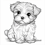 Maltese Dog and His Friends Coloring Pages 3