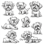 Maltese Dog in Various Moods Coloring Sheets 1