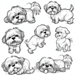 Maltese Dog in Various Moods Coloring Sheets 2