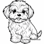 Maltese with Toys Coloring Pages 1