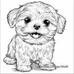 Maltese with Toys Coloring Pages 2