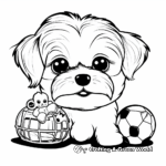 Maltese with Toys Coloring Pages 3
