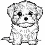 Maltese with Toys Coloring Pages 4