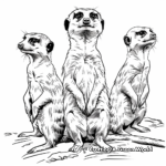 Meerkat Sentries: Lookout Position Coloring Pages 4