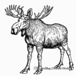 Moose with Antlers Coloring Pages 1