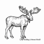 Moose with Antlers Coloring Pages 2