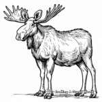 Moose with Antlers Coloring Pages 3