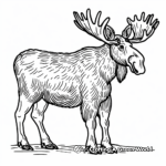 Moose with Antlers Coloring Pages 4