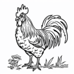 Morning Crow Rooster Coloring Sheets 1