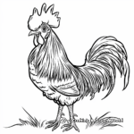 Morning Crow Rooster Coloring Sheets 3