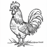 Morning Crow Rooster Coloring Sheets 4