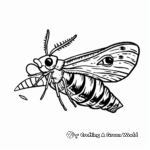 Moth Life Cycle Stages Coloring Pages 2