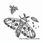 Moth Life Cycle Stages Coloring Pages 4