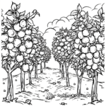 Orchard Fruit Trees Coloring Pages 3