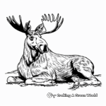 Peaceful Moose Resting Coloring Pages 1