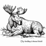 Peaceful Moose Resting Coloring Pages 2