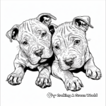 Pitbull Puppies Coloring Pages for Dog Lovers 4